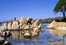 阿扎伦卡关键节点败北，切尔西带队取胜！